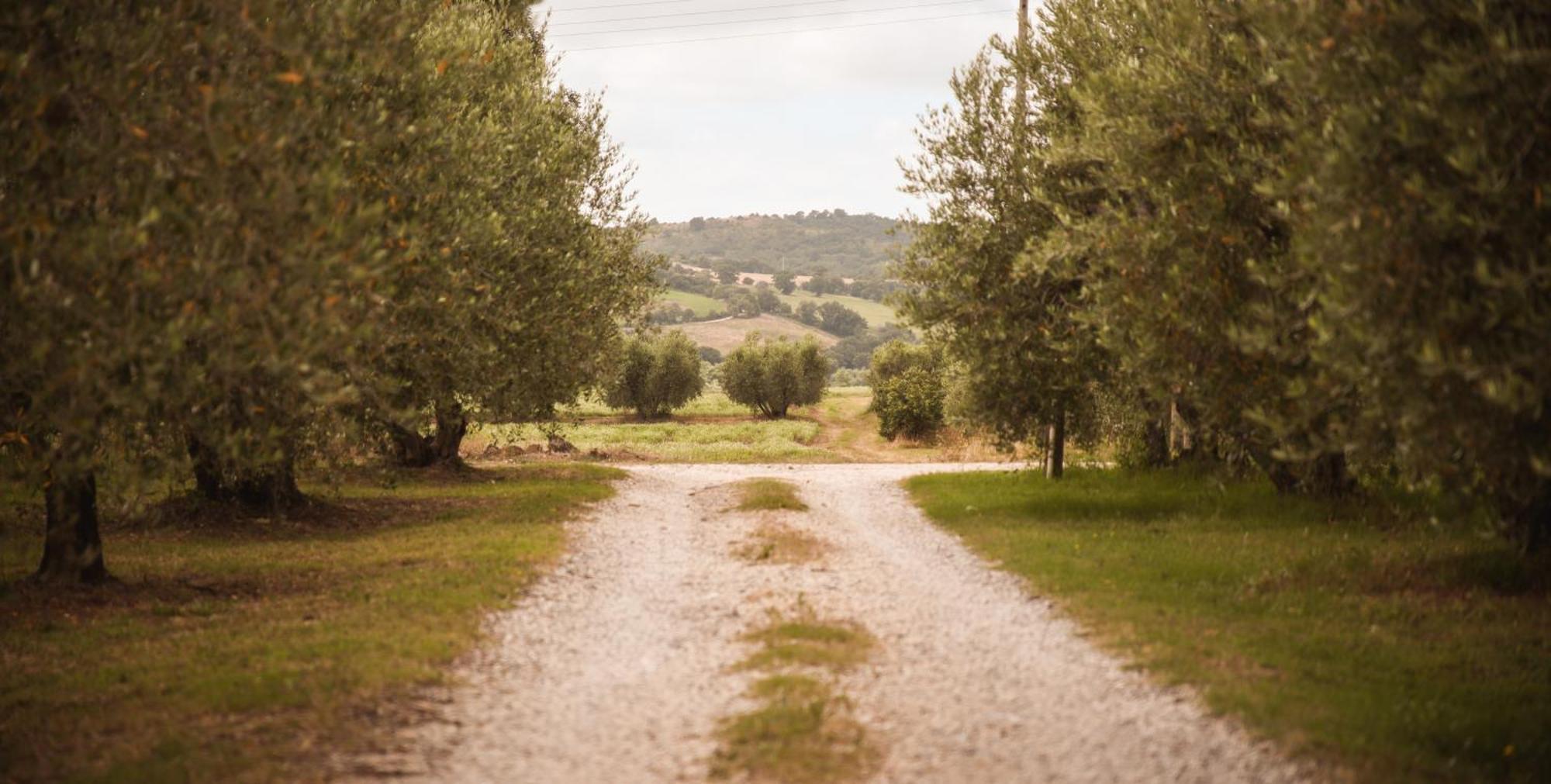 Agriturismo Poggio Alle Calle Saturnia Exterior photo